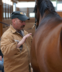 Joseph Modica Horse Therapy