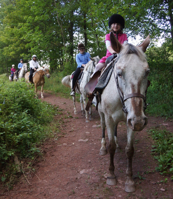 Bridle Hill Farm horseback riding