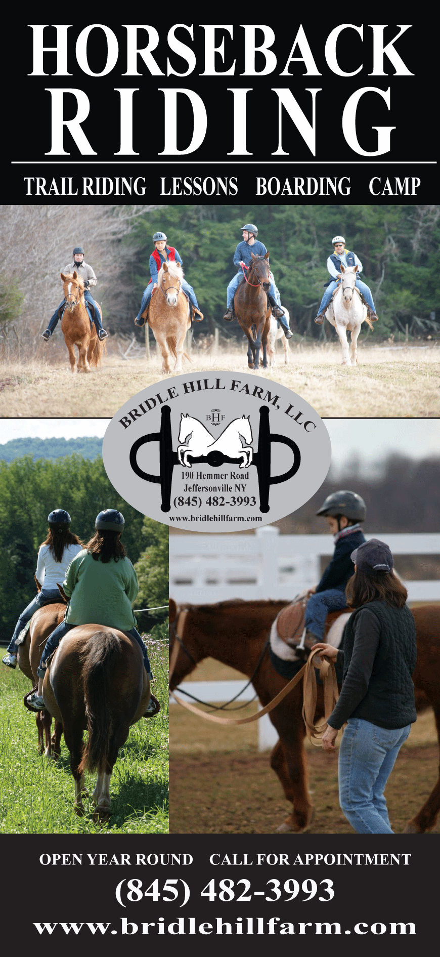 Horseback Riding, Bridle Hill Farm, LLC Jeffersonville New York 12748