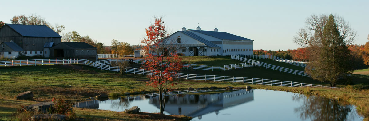 Bridle Hill Farm
